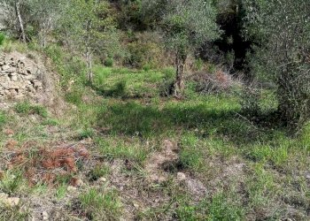 Rustico Apricale - foto 6