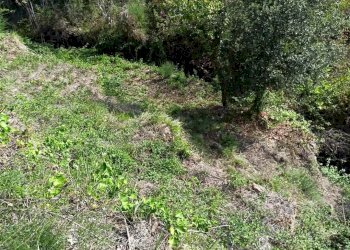 Rustico Apricale - foto 7