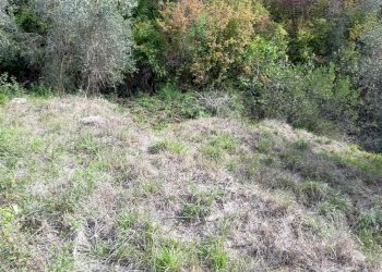 Rustico Apricale - foto 8