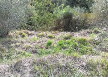 Rustico Apricale - foto 9