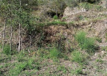 Rustico Apricale - foto 10