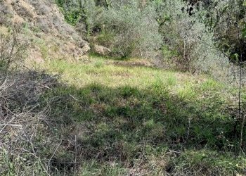 Rustico Apricale - foto 11