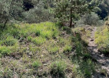 Rustico Apricale - foto 12