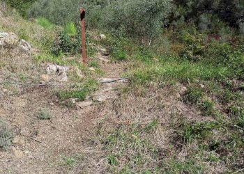 Rustico Apricale - foto 13