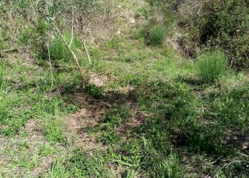 Rustico Apricale - foto 14