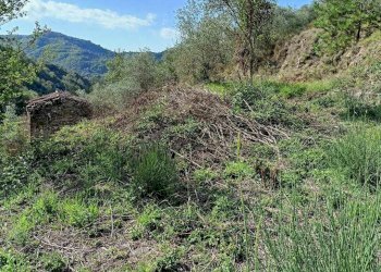 Rustico Apricale - foto 15