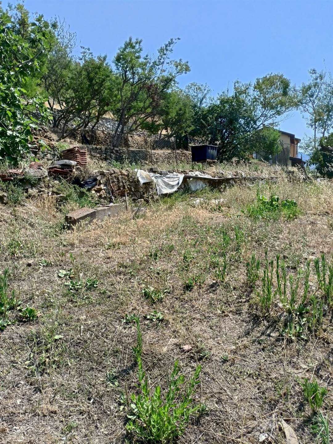 Building land Soldano - photo 2