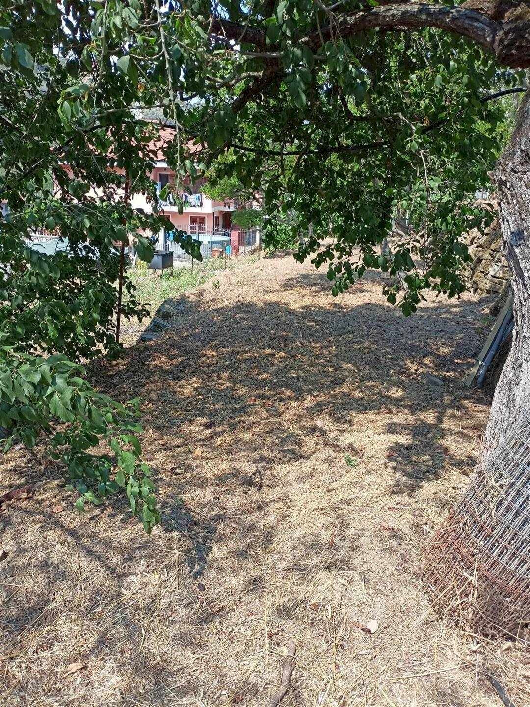 Building land Soldano - photo 3