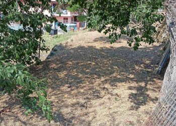 Terreno edificabile Soldano - foto 3