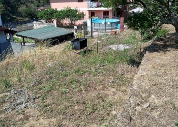 Terreno edificabile Soldano - foto 5