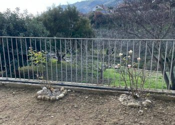 Appartamento Camporosso - foto 4