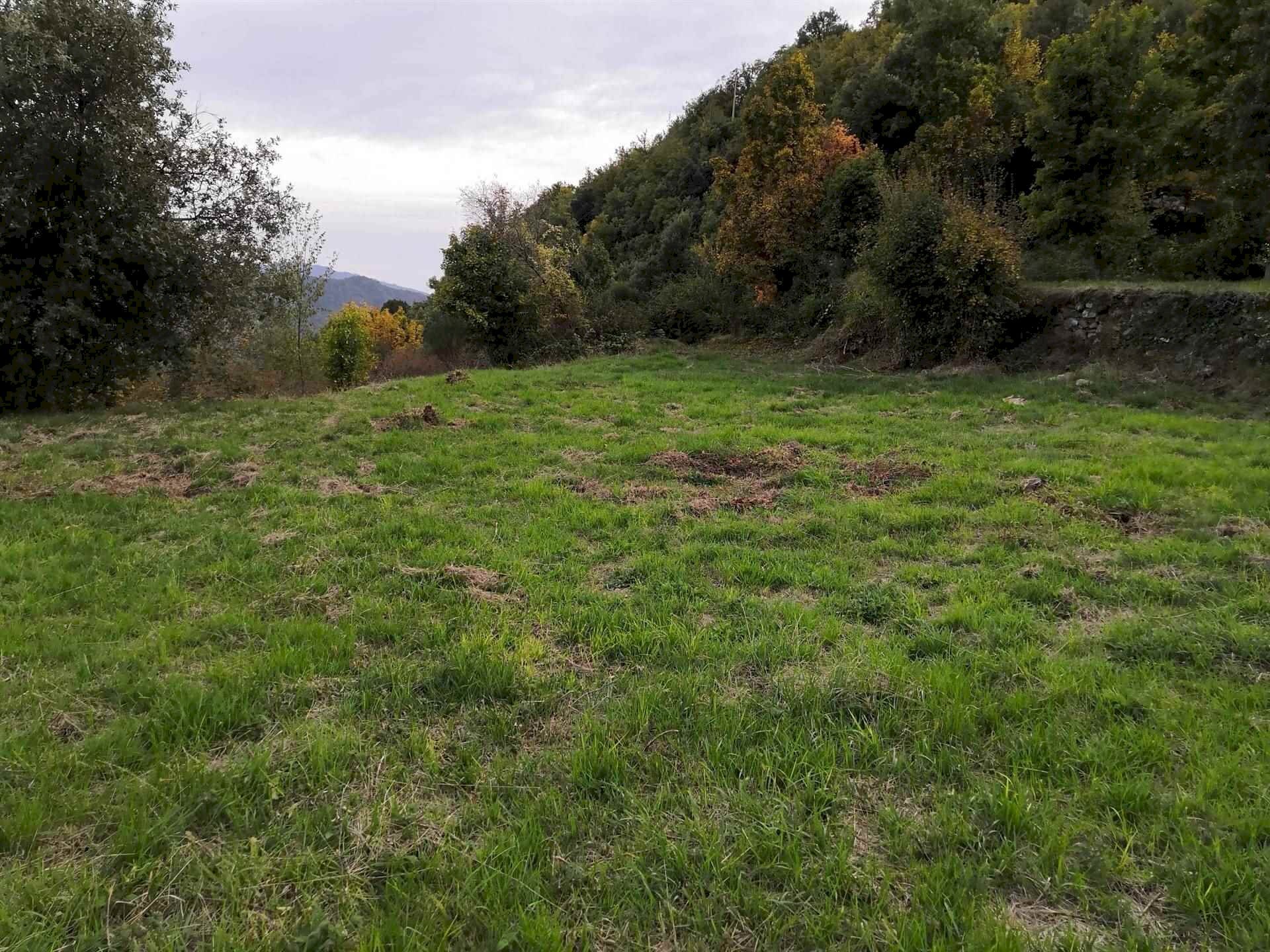 Terreno edificabile Pigna - foto 3