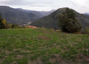 Terreno edificabile Pigna - foto 2