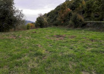 Terreno edificabile Pigna - foto 3