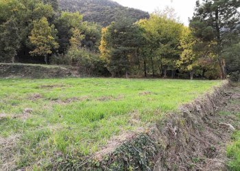 Terreno edificabile Pigna - foto 4