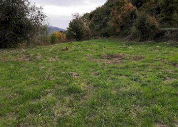 Terreno edificabile Pigna - foto 11