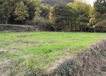 Terreno edificabile Pigna - foto 12