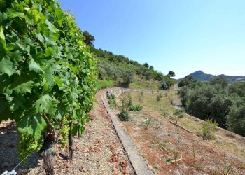 Villa Soldano - foto 39