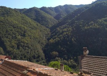 Trilocale Apricale - foto 9