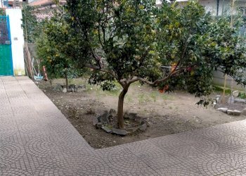 Independent house Camporosso - photo 9