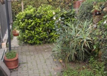 Independent house Camporosso - photo 12