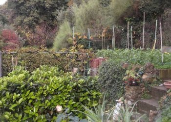 Independent house Camporosso - photo 13