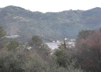 Independent house Camporosso - photo 5