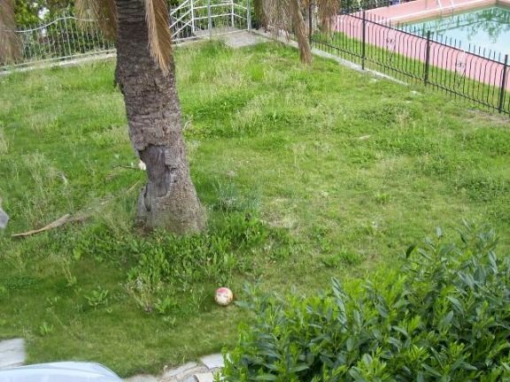 Villa Ventimiglia - photo 3