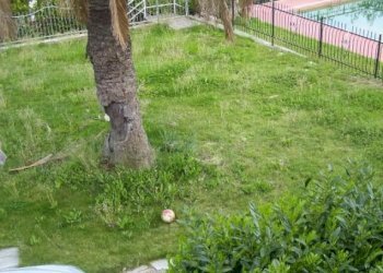 Villa Ventimiglia - foto 3