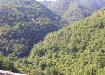 Three-room apartment Apricale - photo 10