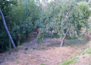 Rustico Apricale - foto 3