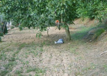 Rustico Apricale - foto 7