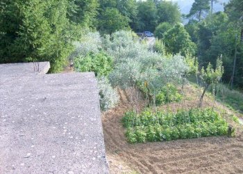 Rustico Apricale - foto 12