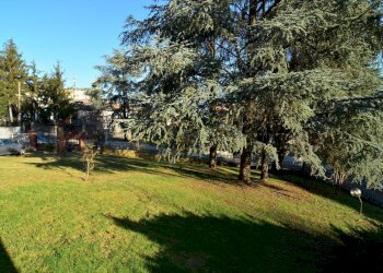 Foto 29 - Villa via Dante Alighieri
 
2A, Rovescala - foto 29