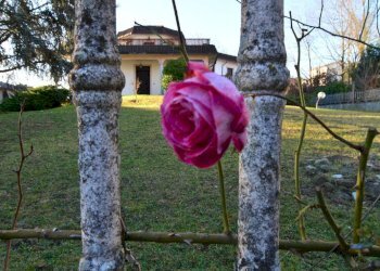Foto 37 - Villa via Dante Alighieri
 
2A, Rovescala - foto 37
