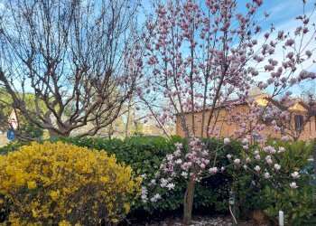 Small Villa San Lazzaro di Savena - photo 6