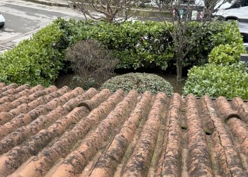 Small Villa San Lazzaro di Savena - photo 30