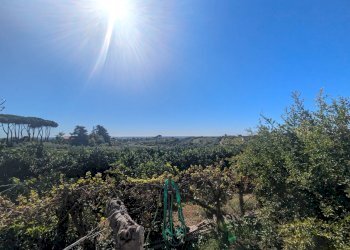 Foto 44 - Villa via seneca, Genzano di Roma - foto 44