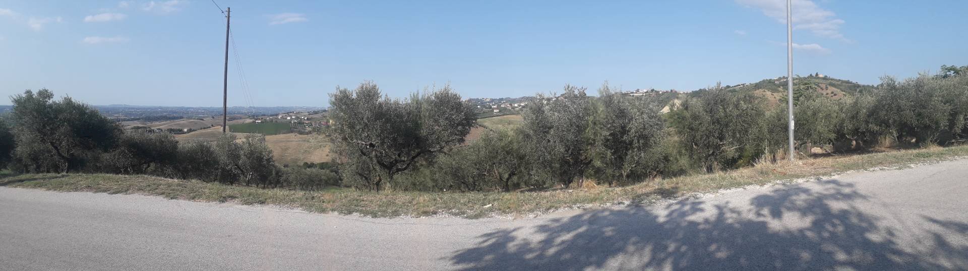 Foto 2 - Terreno agricolo Via Don Rocco D'Alessandro, Manoppello - foto 2