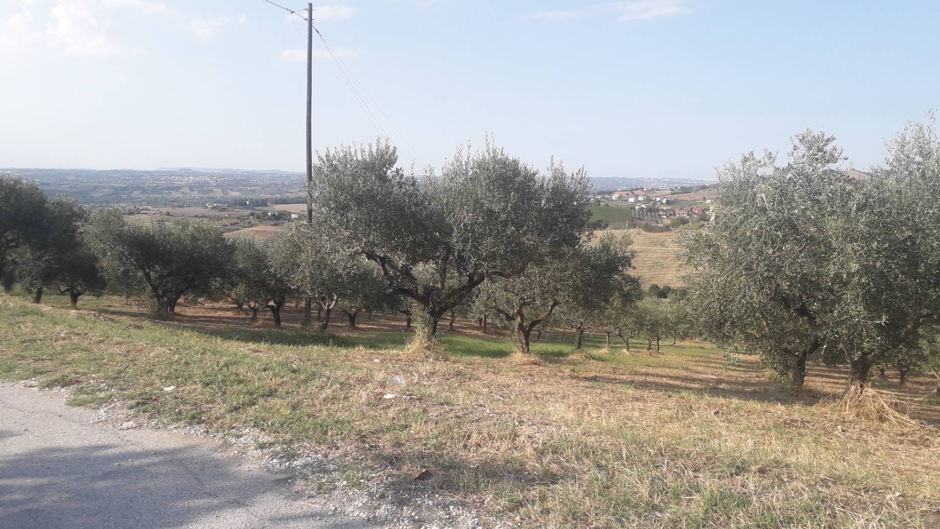 Foto 3 - Terreno agricolo Via Don Rocco D'Alessandro, Manoppello - foto 3