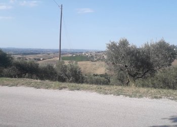 Foto 1 - Terreno agricolo Via Don Rocco D'Alessandro, Manoppello - foto 1