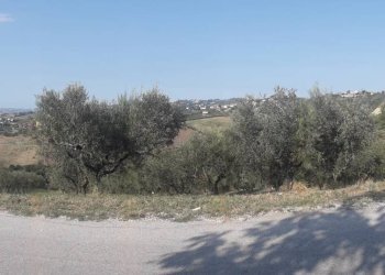 Foto 2 - Terreno agricolo Via Don Rocco D'Alessandro, Manoppello - foto 2