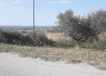 Foto 5 - Terreno agricolo Via Don Rocco D'Alessandro, Manoppello - foto 5