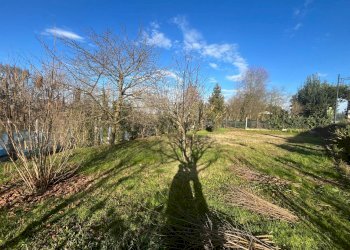 Foto 7 - Casa indipendente via Belvedere, Casale sul Sile - foto 7