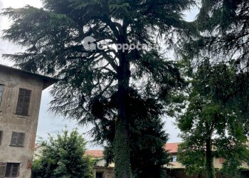 Foto 7 - Villa Via Roma, Mesero - foto 7