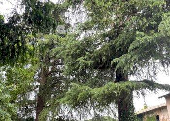 Foto 19 - Villa Via Roma, Mesero - foto 19