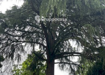 Foto 25 - Villa Via Roma, Mesero - foto 25