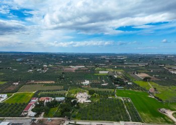 Foto 23 - Villa Via Castel del Monte
 
Snc, Corato - foto 23