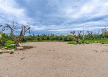 Foto 26 - Villa Via Castel del Monte
 
Snc, Corato - foto 26