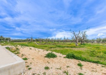 Foto 42 - Villa Via Castel del Monte
 
Snc, Corato - foto 42